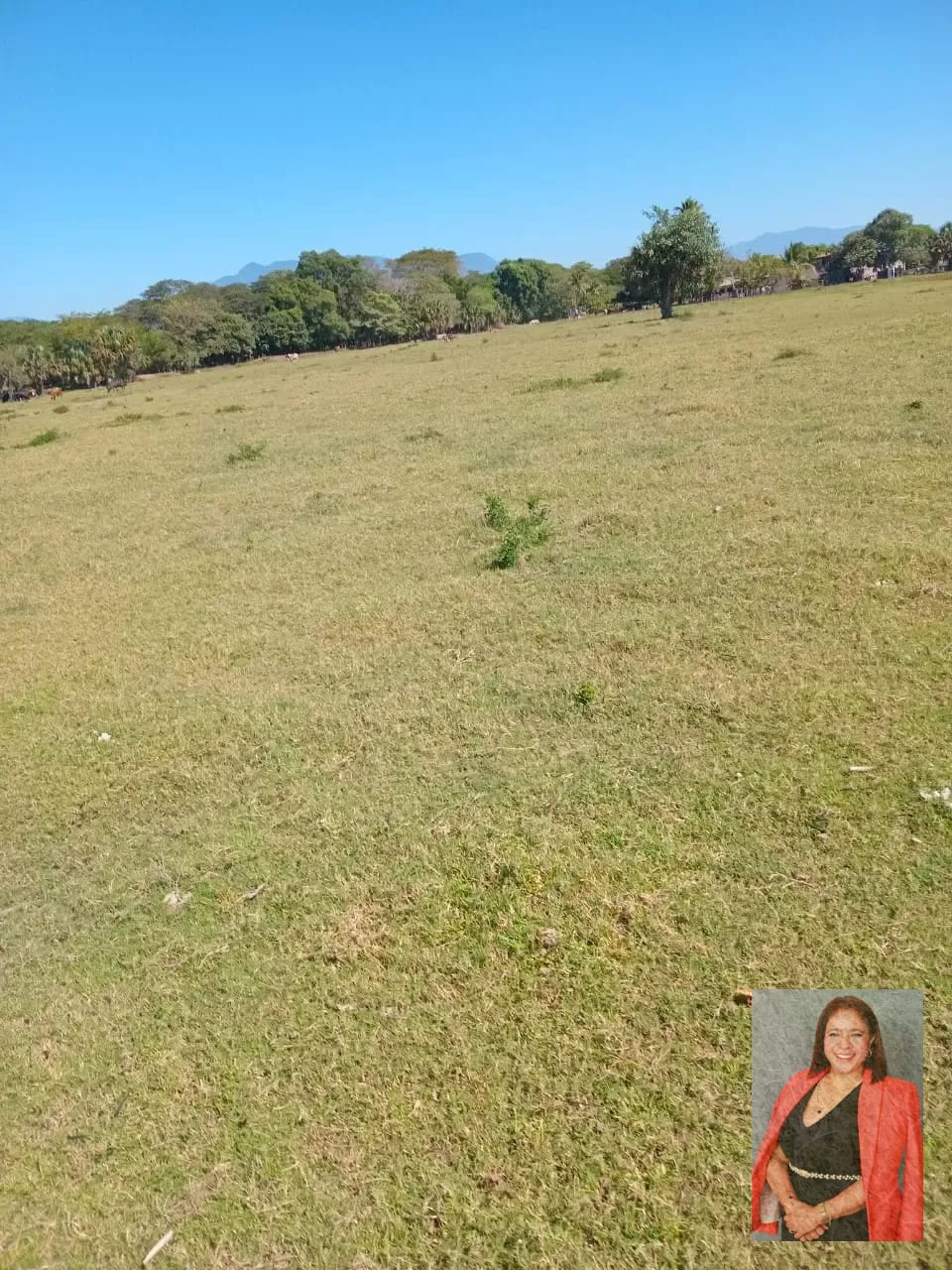 15 caballerias en venta Oratorio Santa Rosa — Finca en Venta en Jalpatagua, Jutiapa — foto 6 de 8