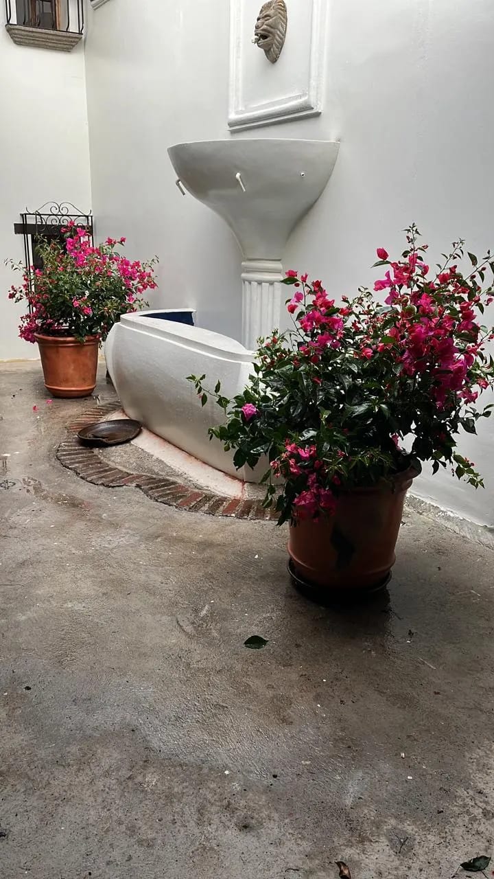 Alquiler Casa Antigua Guatemala — Casa en Alquiler en Antigua, Sacatepéquez — foto 5 de 8