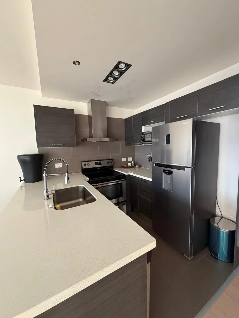 Precio apartamento amueblado en penthouse de zona 10, sector Zona Prad — Apartamento en Alquiler en Veinti4, Zona 10, Guatemala, Ciudad — foto 4 de 8