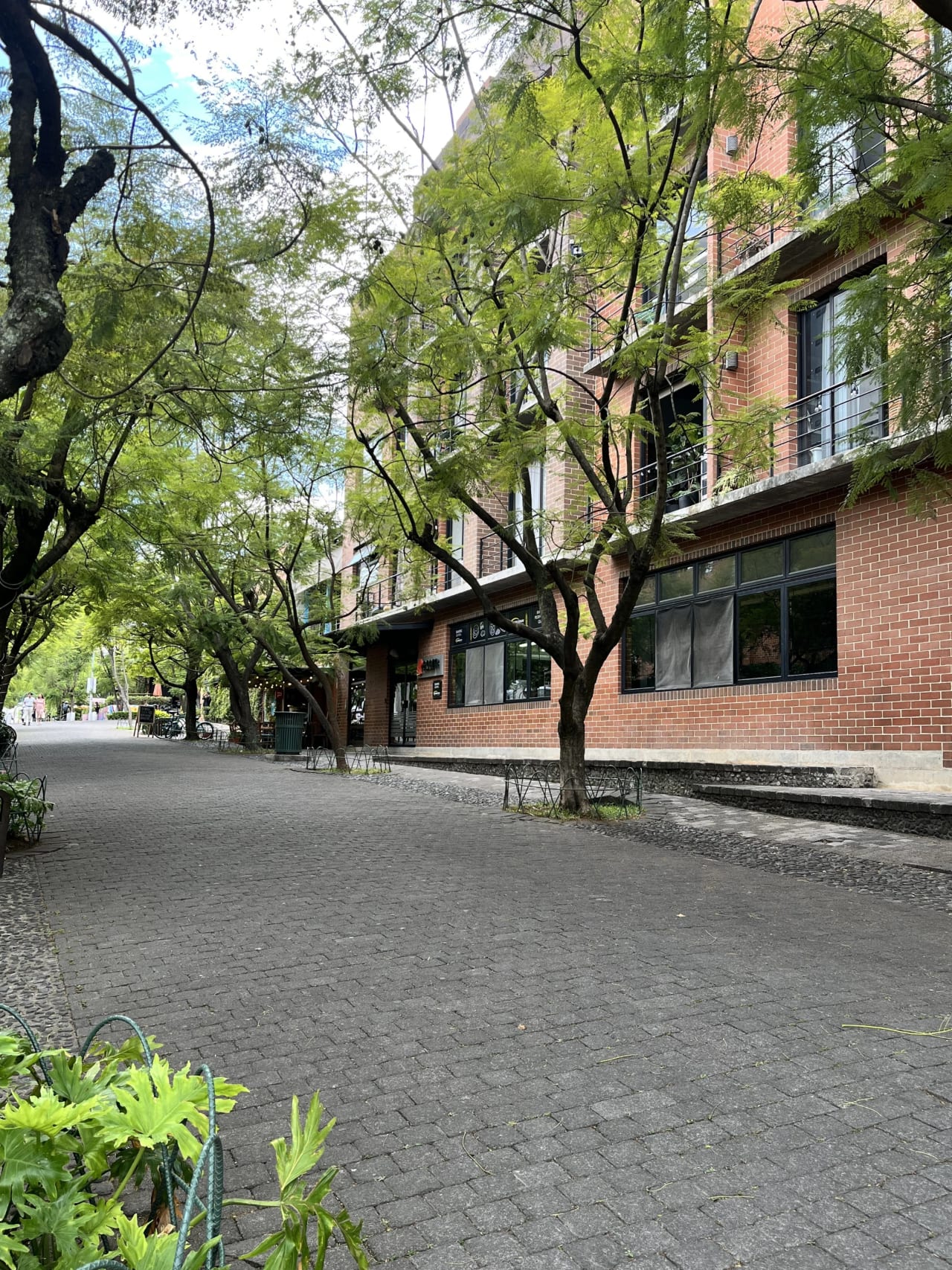 Apartamento Amueblado en Renta Zona 4 cod.DA36952 — Apartamento en Alquiler en Zona 11, Guatemala, Ciudad — foto 5 de 5