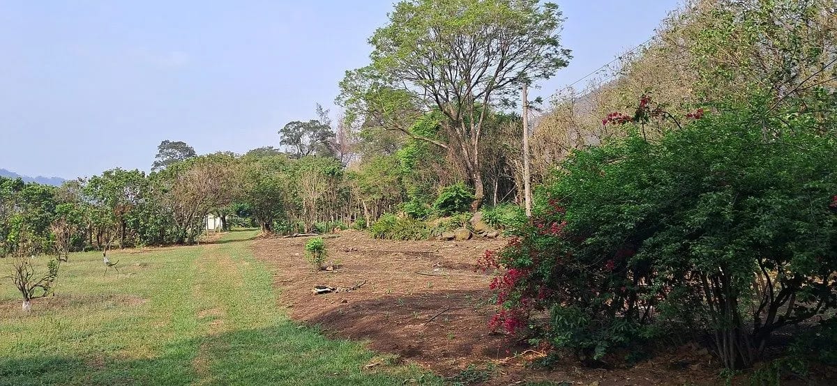 Terreno en ALQUILER entre Palin y Amatitlan — Terreno en Alquiler en Palín, Escuintla — foto 3 de 7