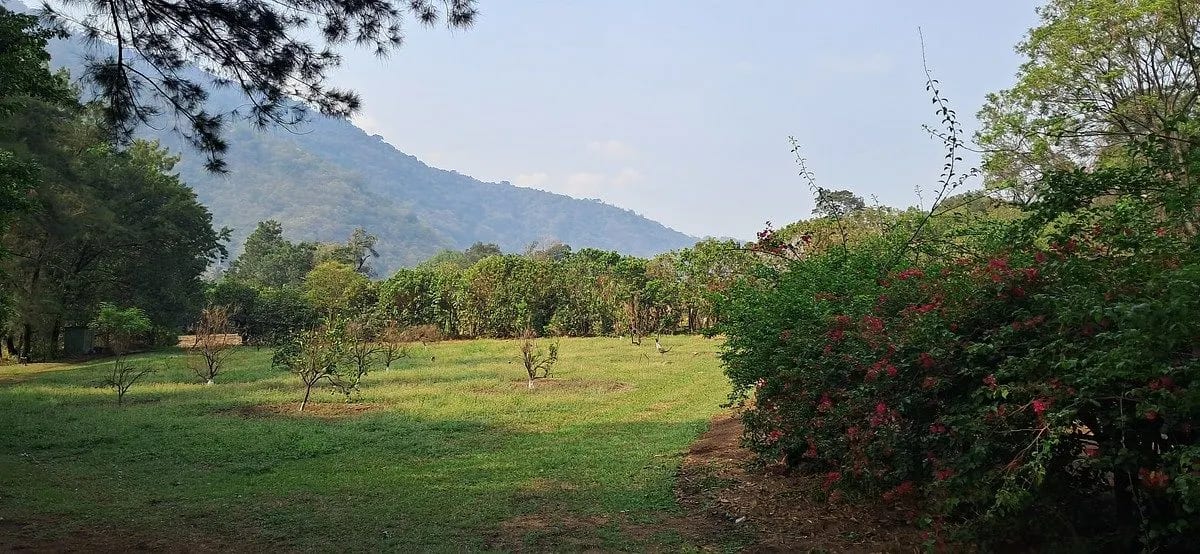 Terreno en ALQUILER entre Palin y Amatitlan — Terreno en Alquiler en Palín, Escuintla — foto 1 de 7