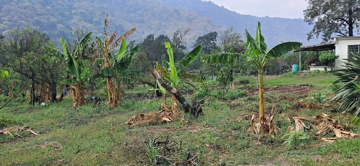 Terreno en ALQUILER entre Palin y Amatitlan — Terreno en Alquiler en Palín, Escuintla — foto 4 de 7