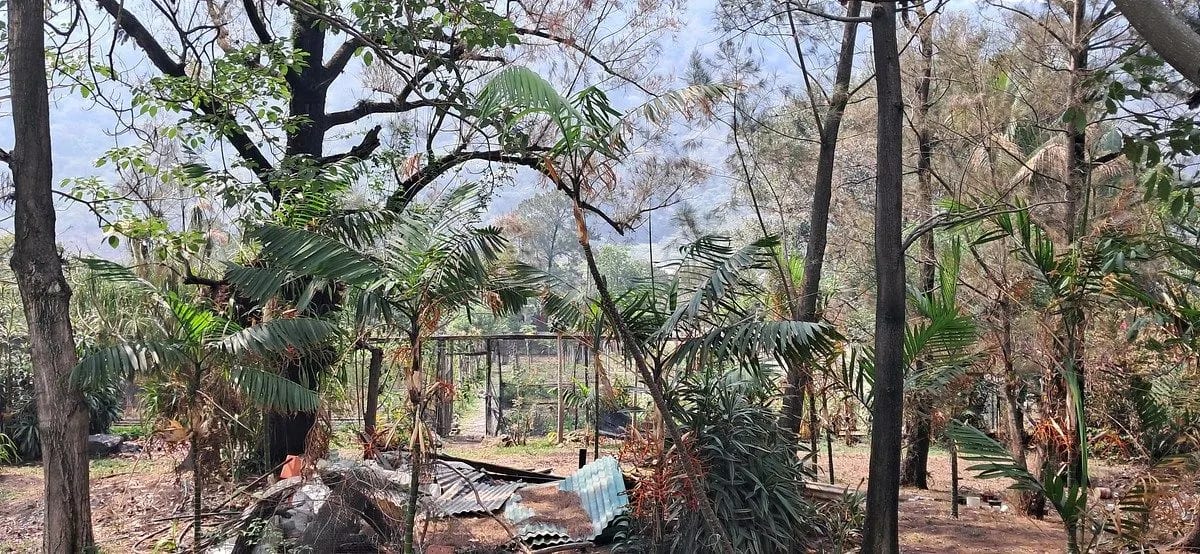 Terreno en ALQUILER entre Palin y Amatitlan — Terreno en Alquiler en Palín, Escuintla — foto 5 de 7