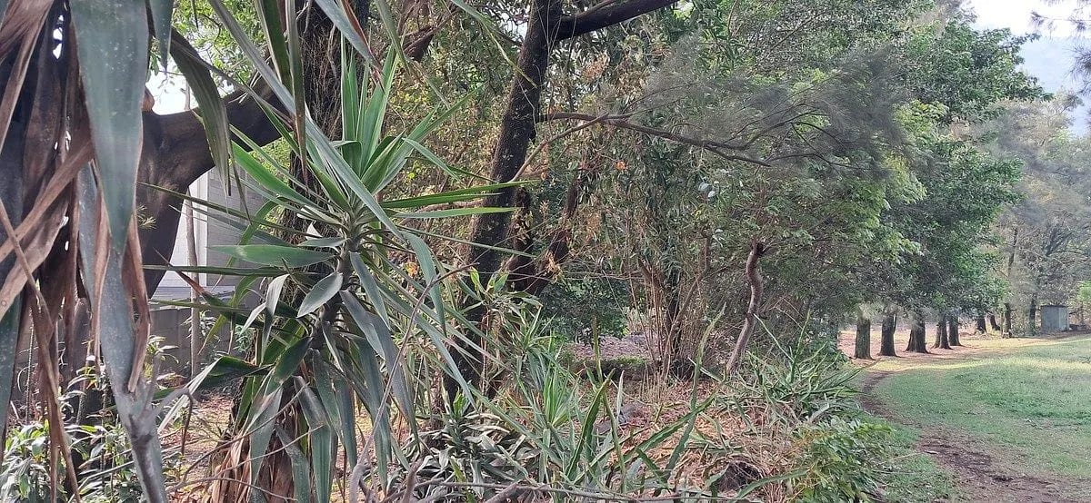 Terreno en ALQUILER entre Palin y Amatitlan — Terreno en Alquiler en Palín, Escuintla — foto 7 de 7