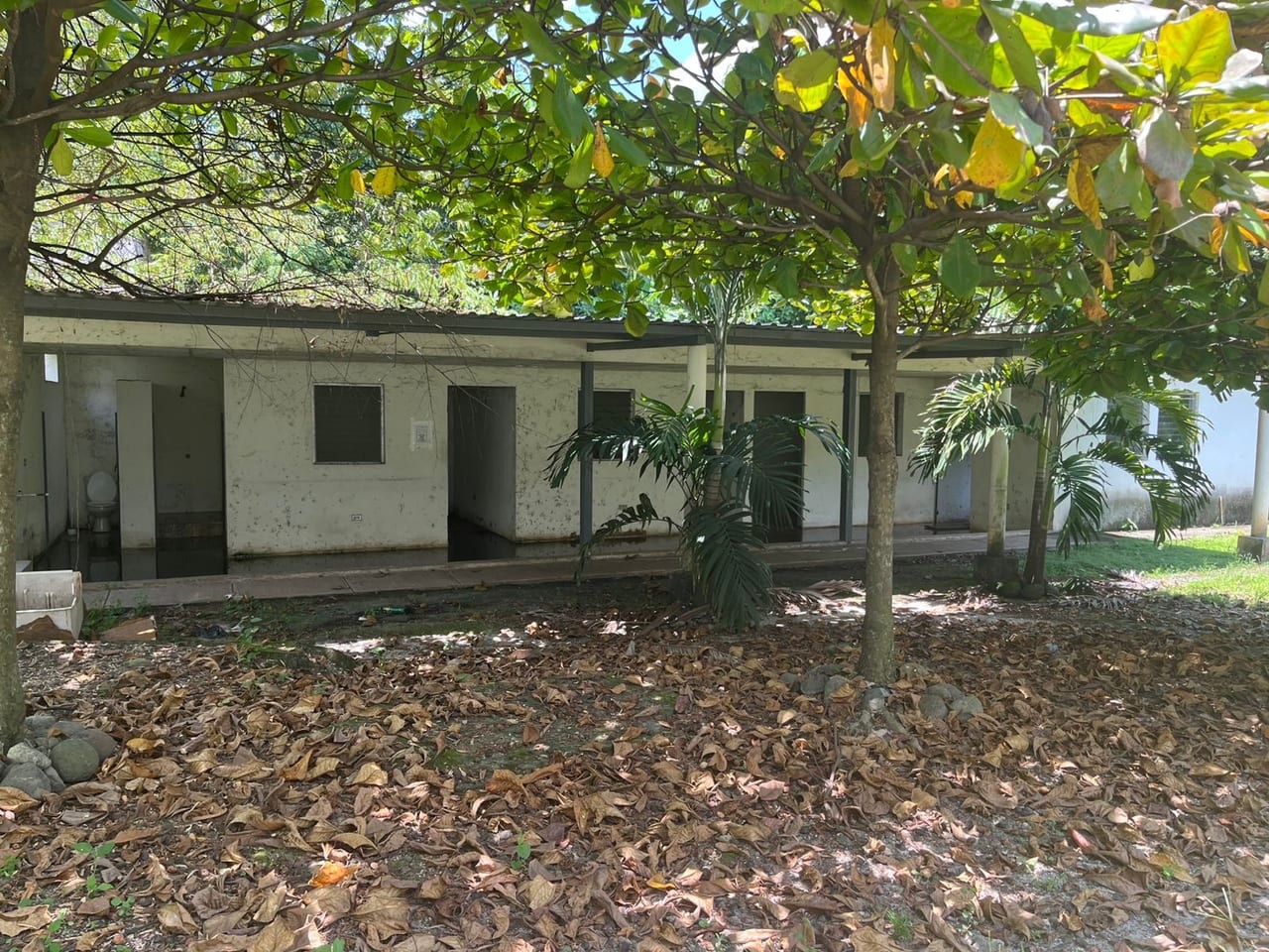 Propiedad con Bodegas en Venta – Retalhuleu — Bodega / Ofibodega en Venta en Retalhuleu, Retalhuleu — foto 11 de 15