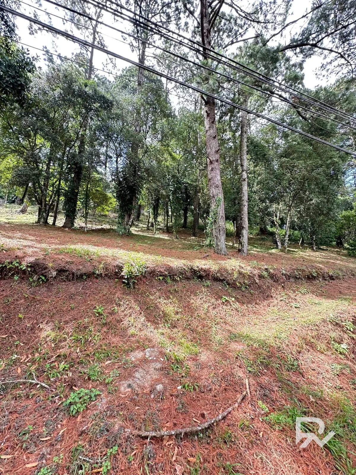 Terreno en Venta – Bosques de Terravista, Área Coventry Club — Terreno en Venta en San José Pinula, Guatemala, Ciudad — foto 3 de 5