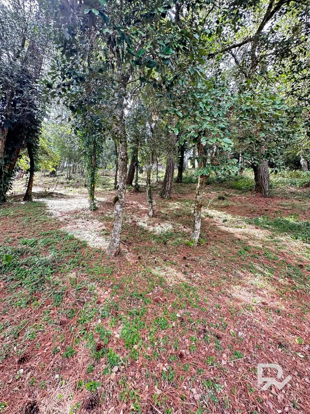 Terreno en Venta – Bosques de Terravista, Área Coventry Club — Terreno en Venta en San José Pinula, Guatemala, Ciudad — foto 5 de 5