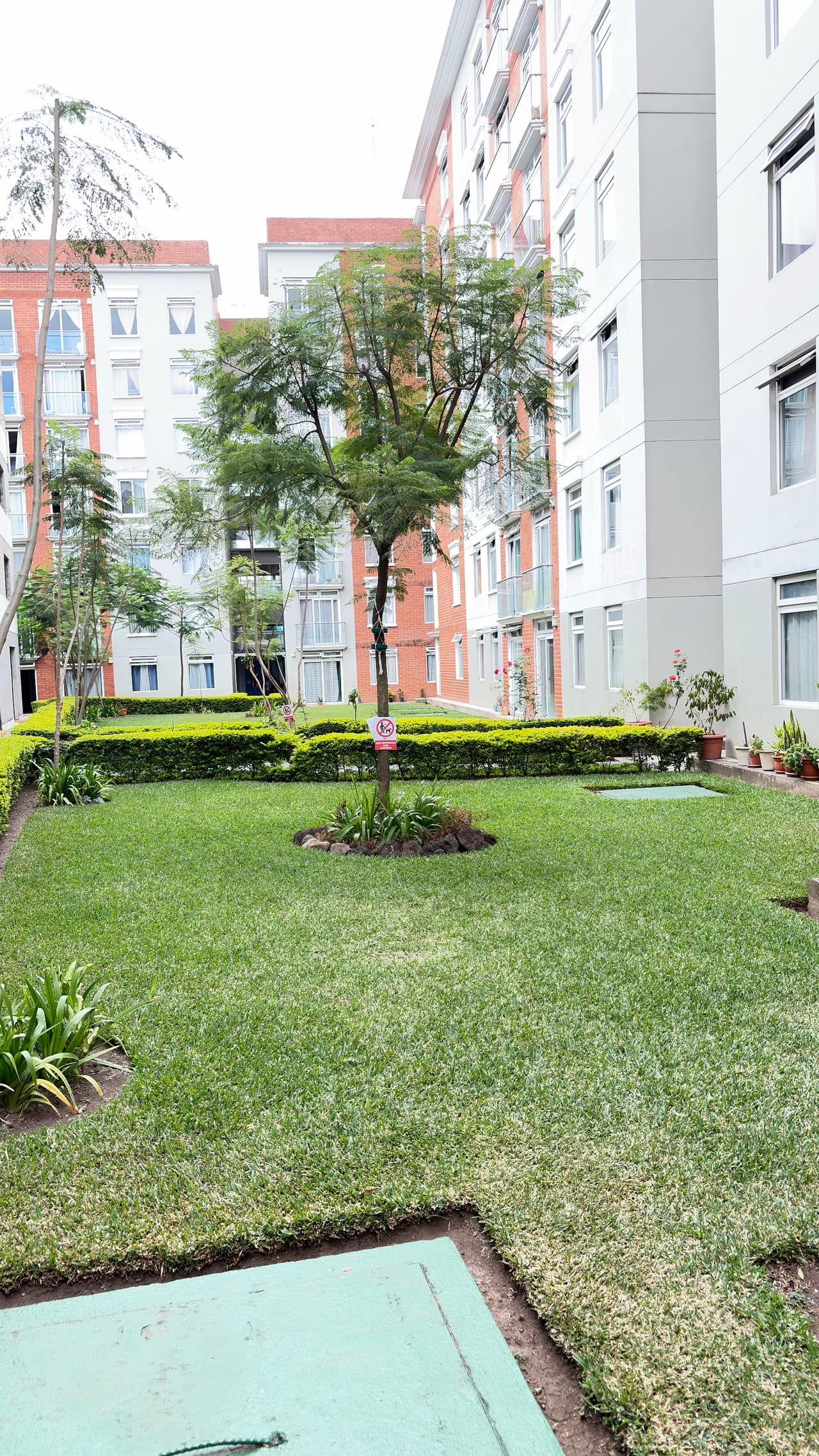 Apartamento en Renta/ Historico 1 /zona 1 — Apartamento en Alquiler en El Centro, Zona 1, Guatemala, Ciudad — foto 1 de 12