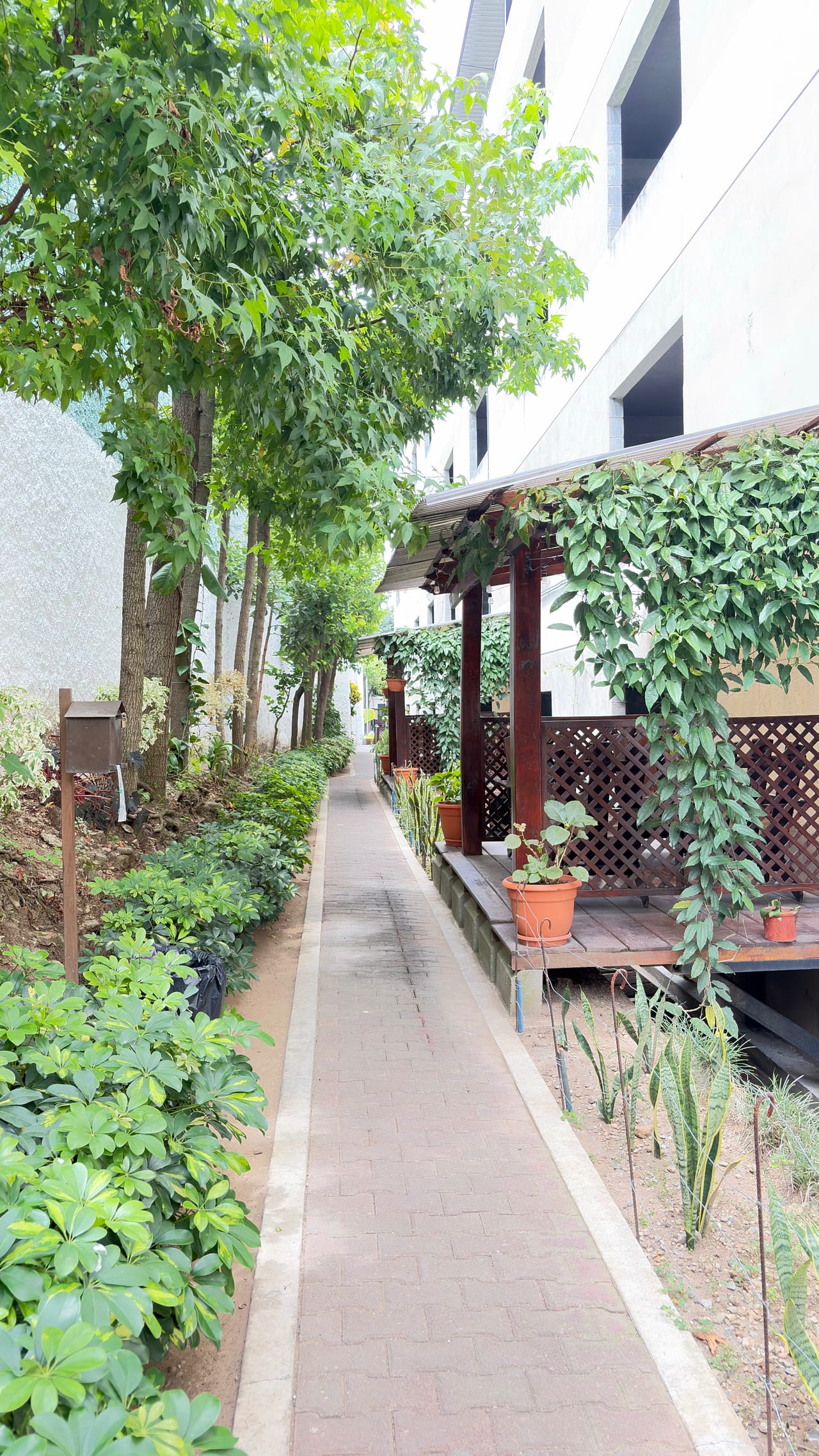 Apartamento en Renta/ Historico 1 /zona 1 — Apartamento en Alquiler en El Centro, Zona 1, Guatemala, Ciudad — foto 10 de 12