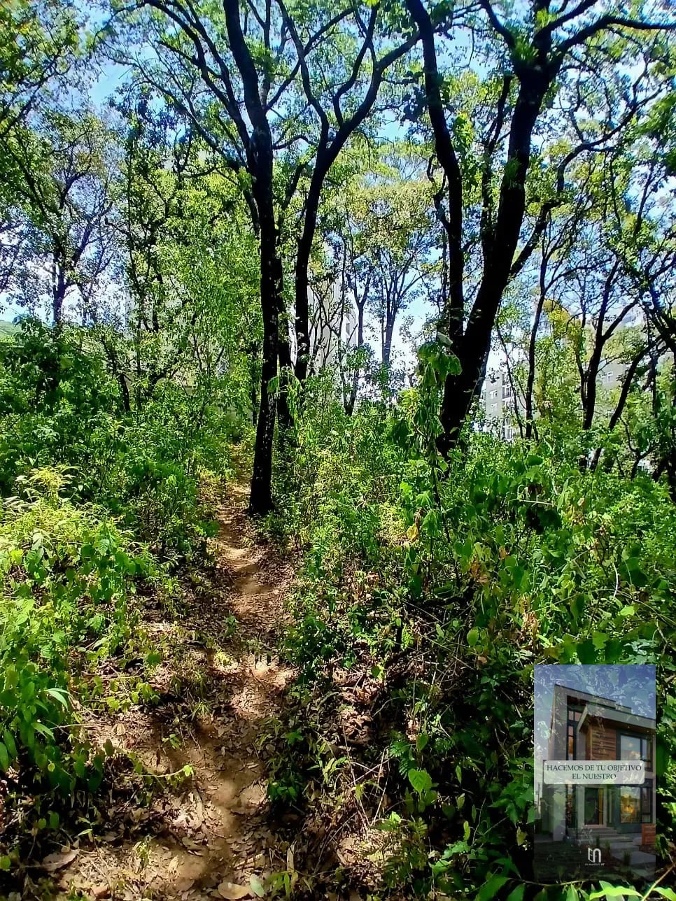 Terreno en Venta Labor de Castilla 2, Mixco | 2,243 V² — Terreno en Venta en Zona 9 Mixco, Guatemala, Ciudad — foto 5 de 8