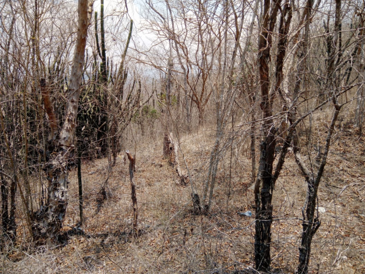 ¡OPORTUNIDAD DE INVERSIÓN! Terreno Industrial Ideal para Proyecto Solar en El Progreso — Terreno en Venta en El Jícaro, El Progreso — foto 7 de 14