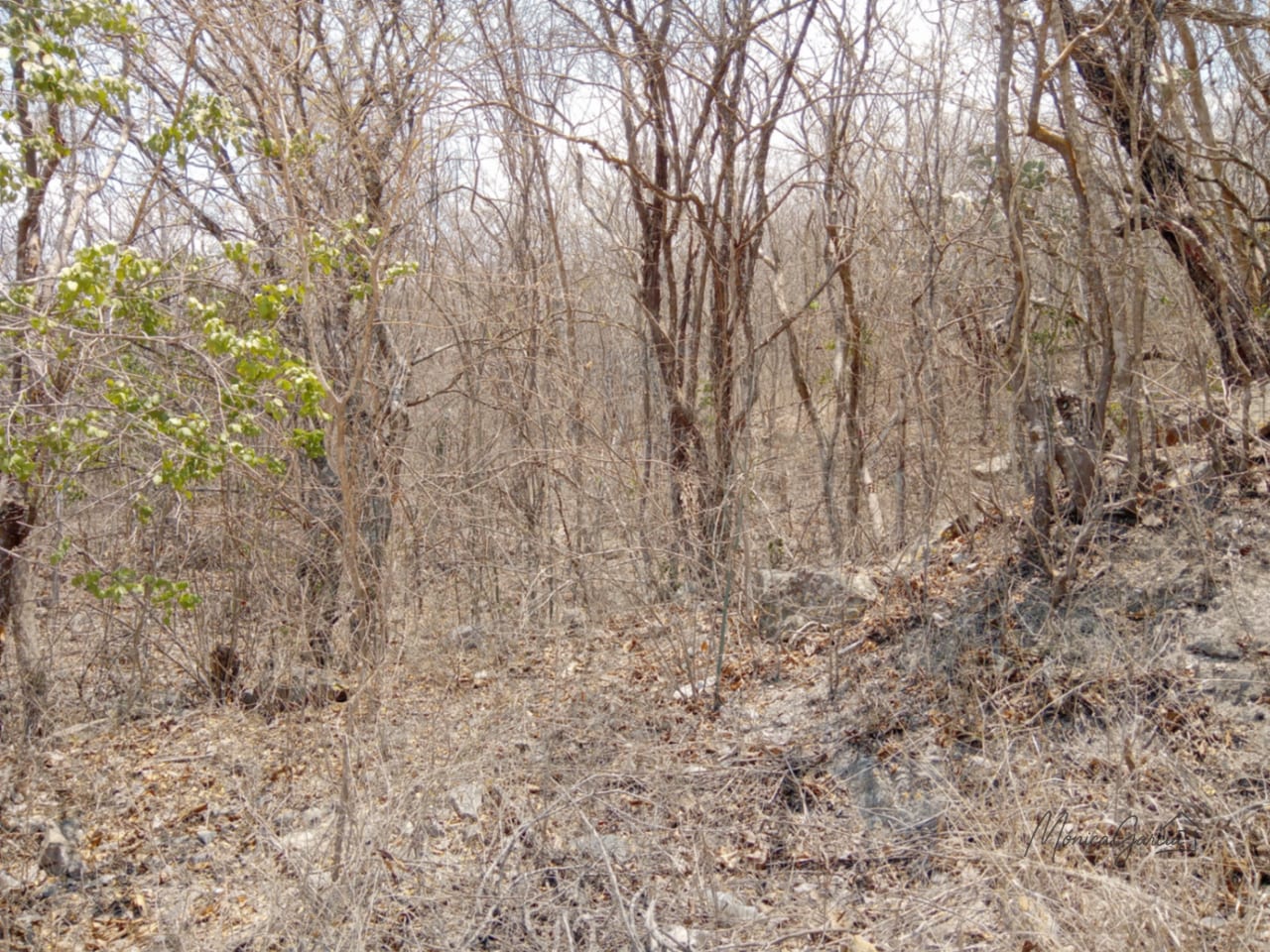 ¡OPORTUNIDAD DE INVERSIÓN! Terreno Industrial Ideal para Proyecto Solar en El Progreso — Terreno en Venta en El Jícaro, El Progreso — foto 13 de 14