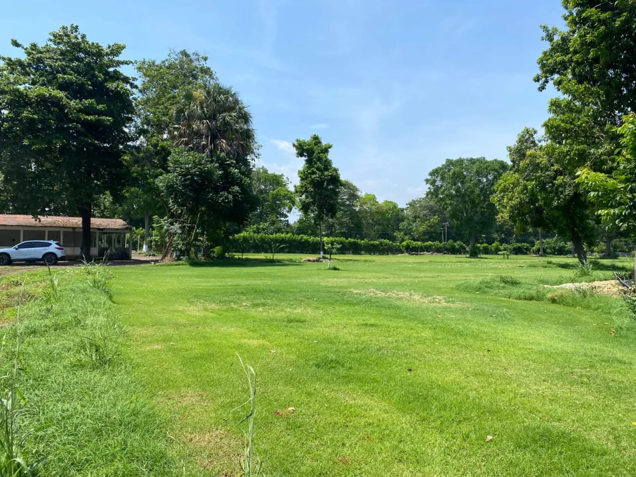 Terreno carretera vieja a Puerto de San José — Finca en Venta en Masagua, Escuintla — foto 3 de 17