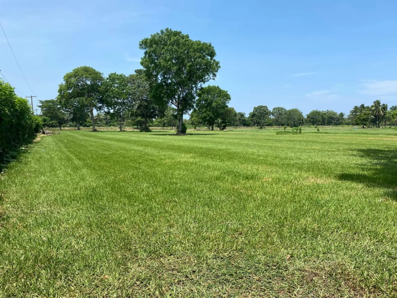 Terreno carretera vieja a Puerto de San José — Finca en Venta en Masagua, Escuintla — foto 4 de 17
