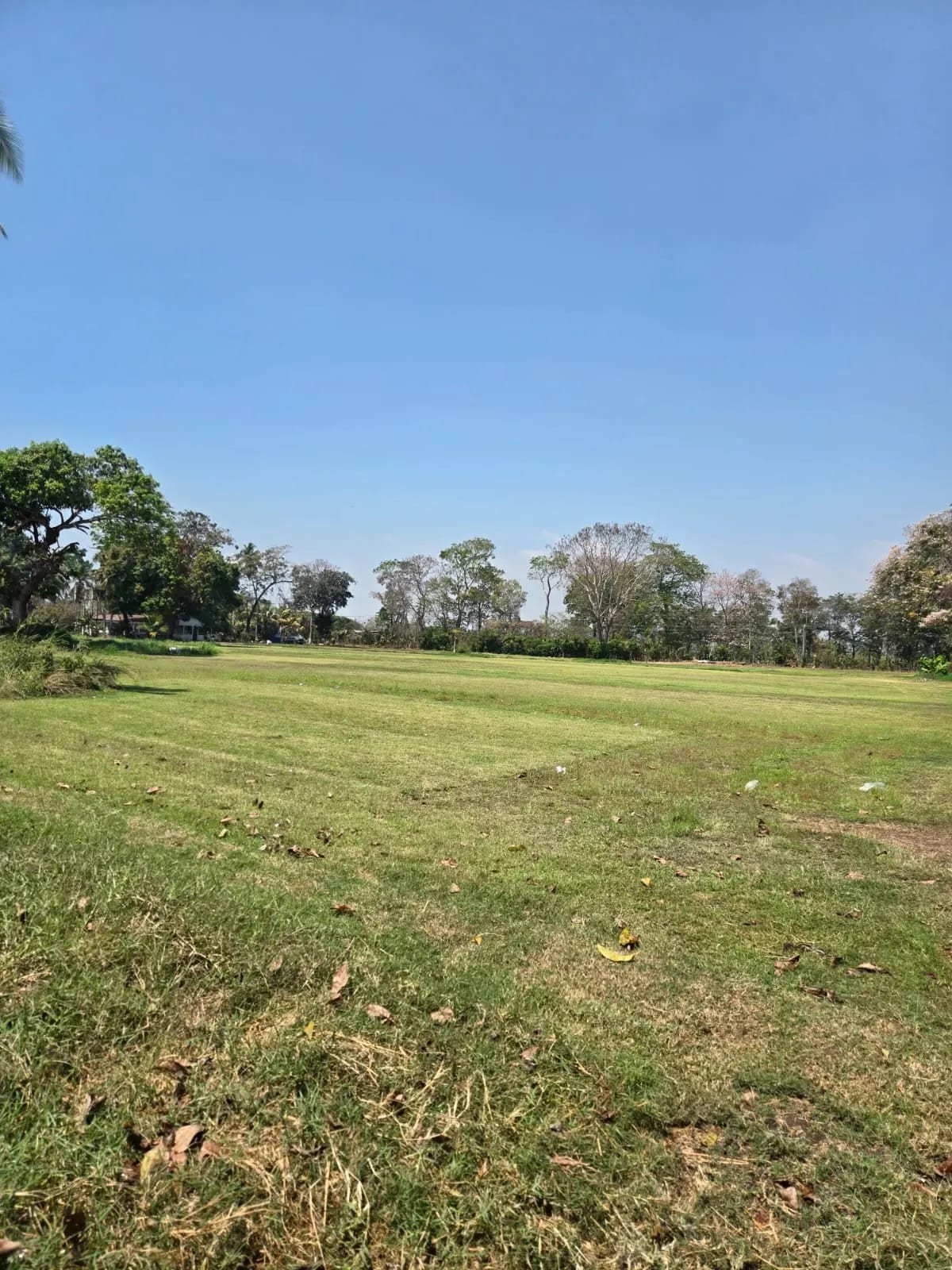 Terreno carretera vieja a Puerto de San José — Finca en Venta en Masagua, Escuintla — foto 13 de 17