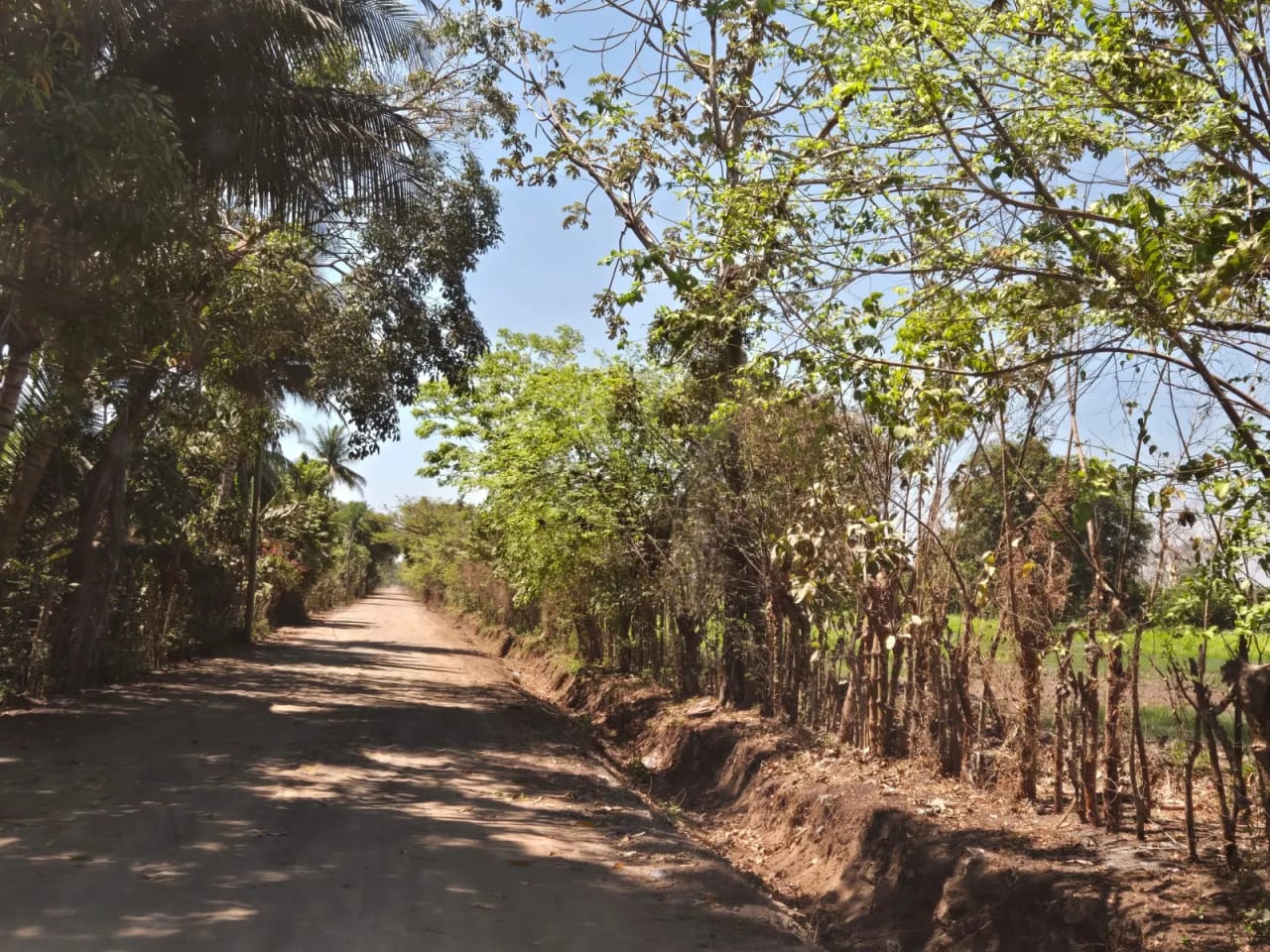 Terreno carretera vieja a Puerto de San José — Finca en Venta en Masagua, Escuintla — foto 16 de 17