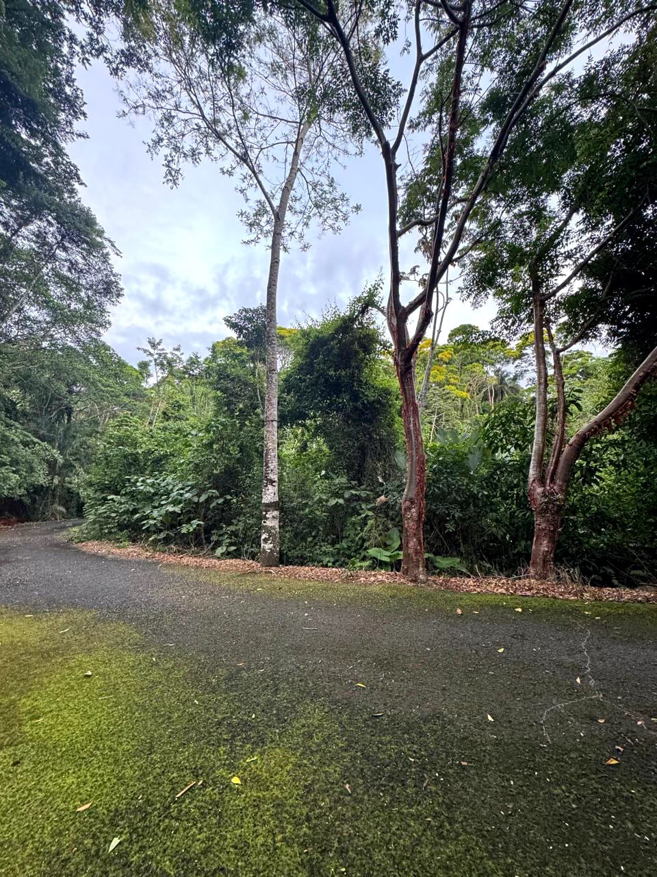 Terreno en Venta Amatique Bay — Terreno en Venta en Amatique Bay, Izabal — foto 4 de 13