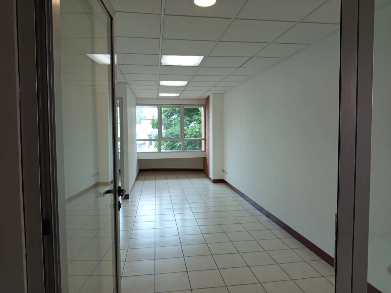 Se renta oficina en zona 10 Oakland — Oficina en Alquiler en Zona 10, Guatemala, Ciudad — foto 16 de 16