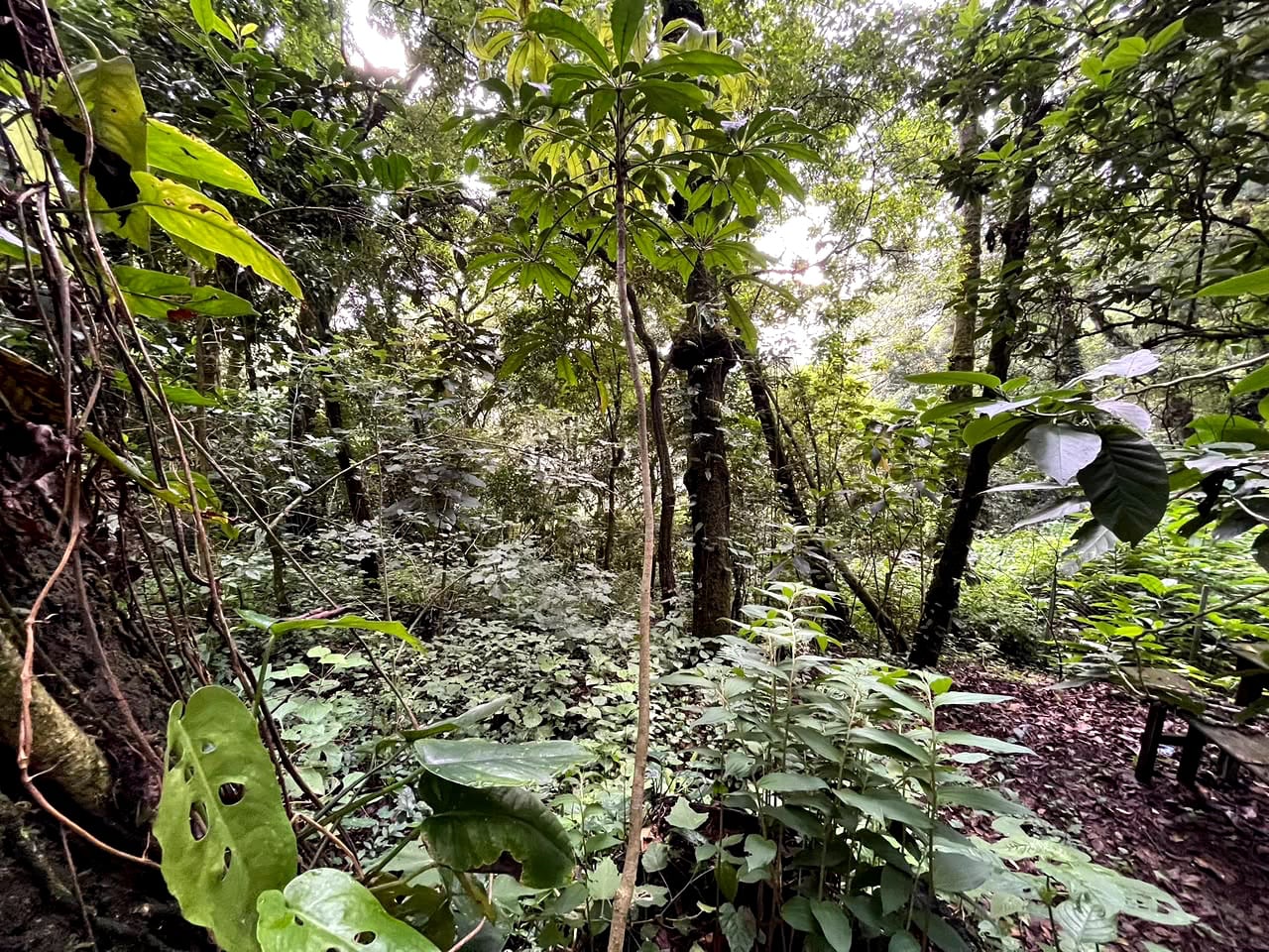 Terreno en Venta Granjas Jardín El Alto — Terreno en Venta en Santiago Sacatepéquez, Sacatepéquez — foto 7 de 13