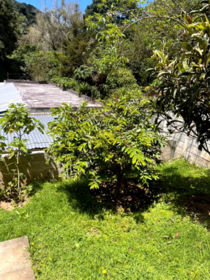 Terreno en venta Santiago Sacatepequez — Terreno en Venta en Santiago Sacatepéquez, Sacatepéquez — foto 2 de 15