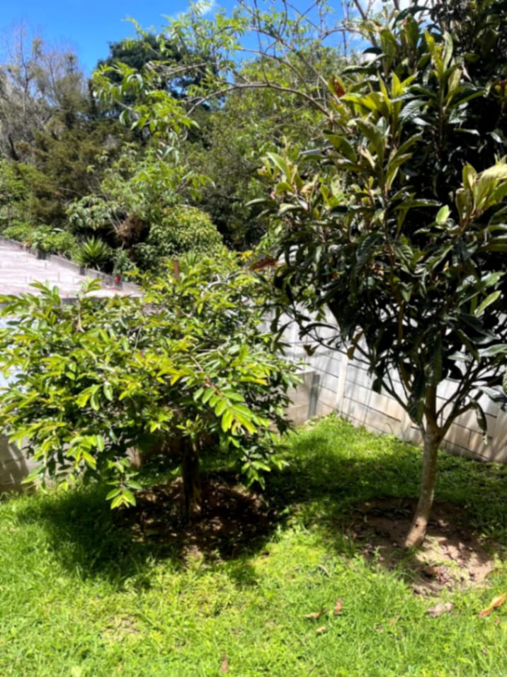 Terreno en venta Santiago Sacatepequez — Terreno en Venta en Santiago Sacatepéquez, Sacatepéquez — foto 3 de 15