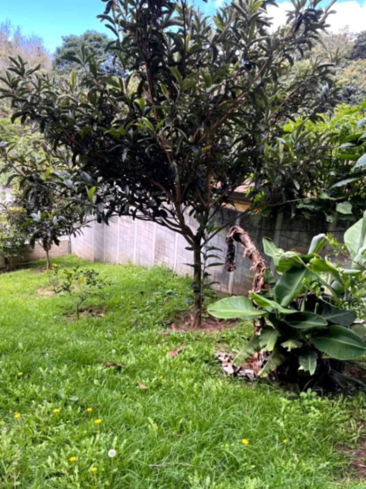 Terreno en venta Santiago Sacatepequez — Terreno en Venta en Santiago Sacatepéquez, Sacatepéquez — foto 5 de 15