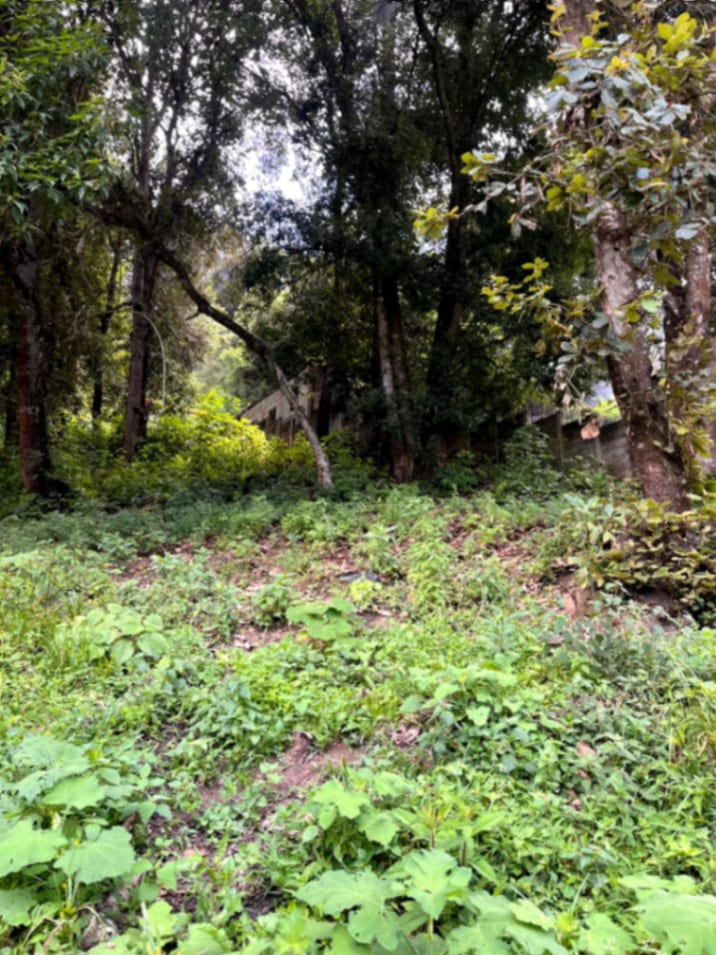 Terreno en venta Santiago Sacatepequez — Terreno en Venta en Santiago Sacatepéquez, Sacatepéquez — foto 6 de 15