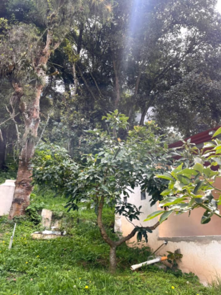 Terreno en venta Santiago Sacatepequez — Terreno en Venta en Santiago Sacatepéquez, Sacatepéquez — foto 7 de 15