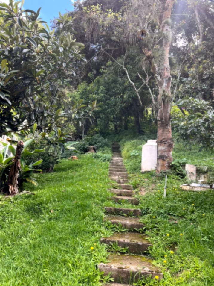 Terreno en venta Santiago Sacatepequez — Terreno en Venta en Santiago Sacatepéquez, Sacatepéquez — foto 8 de 15