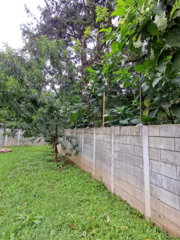 Terreno en venta Santiago Sacatepequez — Terreno en Venta en Santiago Sacatepéquez, Sacatepéquez — foto 14 de 15