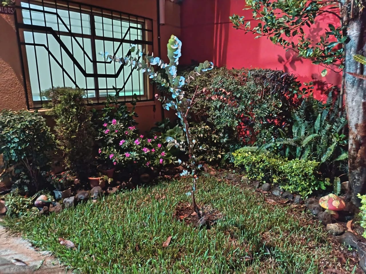 Casa Accesibilidad, Confort y Exclusividad en Montesano, Zona 16 — Casa en Venta en Santa Rosita, Zona 16, Guatemala, Ciudad — foto 7 de 7