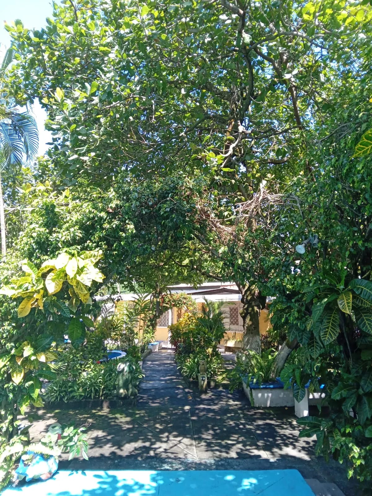 Granja en venta, Masagua, Escuintla — Finca en Venta en Masagua, Escuintla — foto 8 de 15