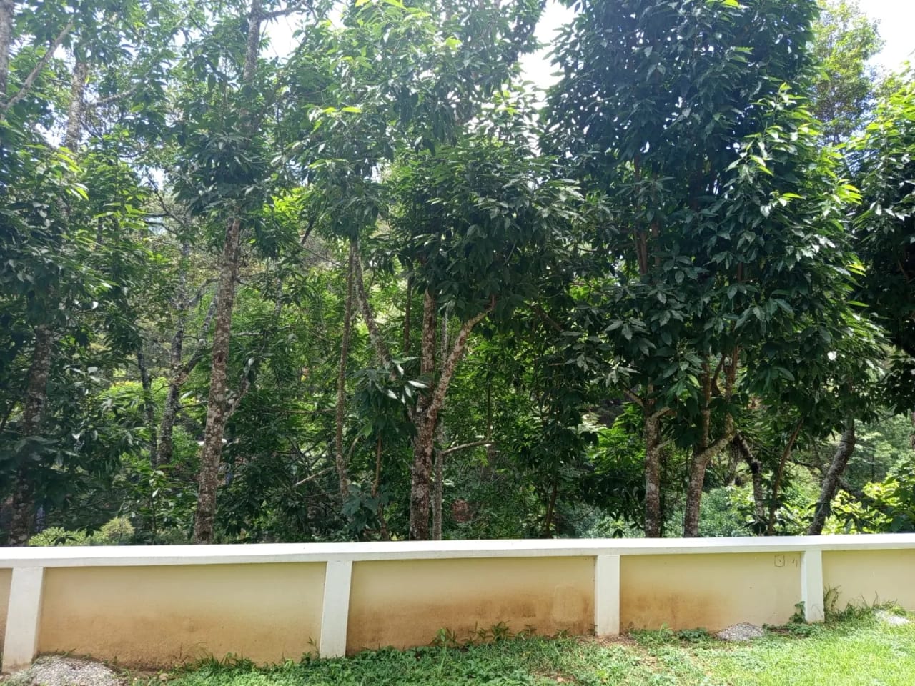 En Venta Apartamento 1 Habitacion la Montaña Zona 16 - 2 Parqueos — Apartamento en Venta en Zona 16, Guatemala, Ciudad — foto 12 de 14