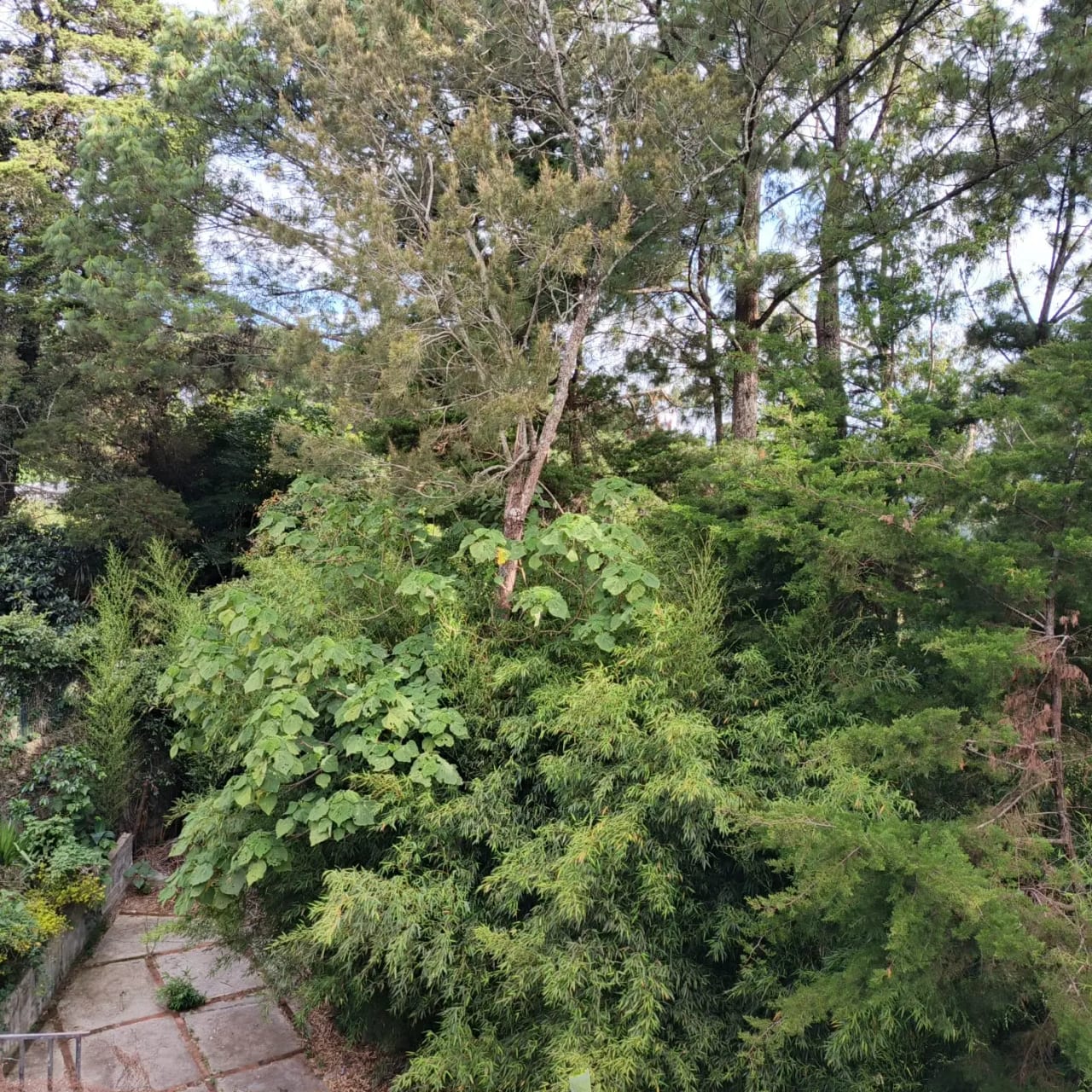 Terreno amplio con casa en CAES — Terreno en Venta en Granja Buenos Aires, Carretera a El Salvador, Guatemala, Ciudad — foto 10 de 17