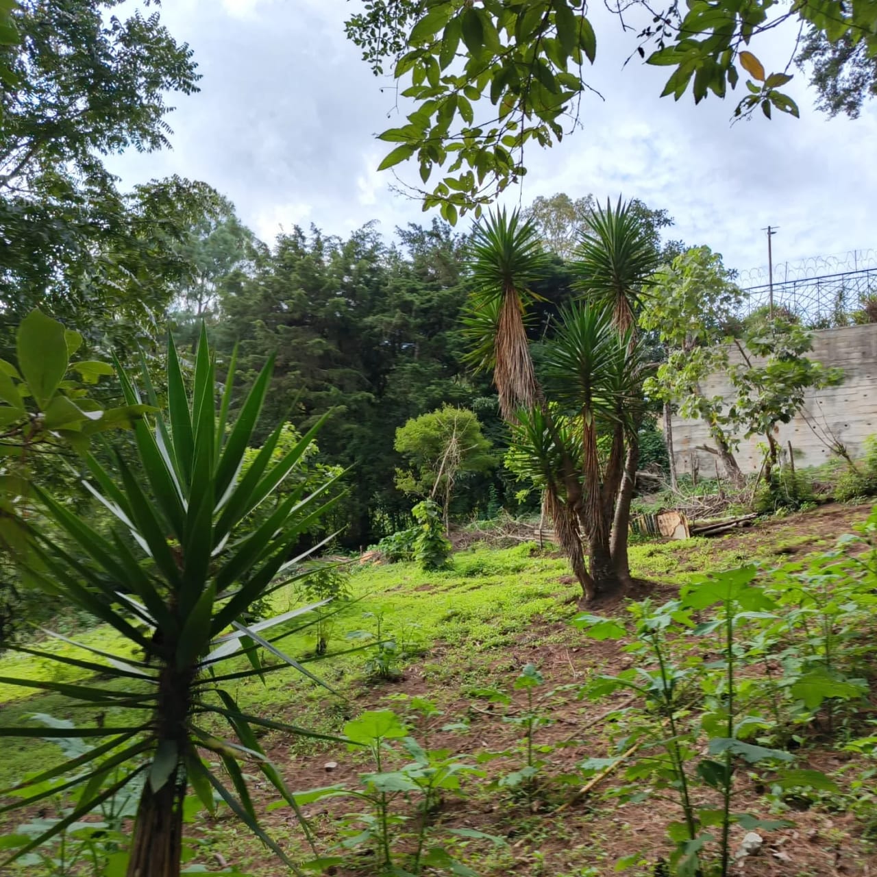 Terreno amplio con casa en CAES — Terreno en Venta en Granja Buenos Aires, Carretera a El Salvador, Guatemala, Ciudad — foto 11 de 17
