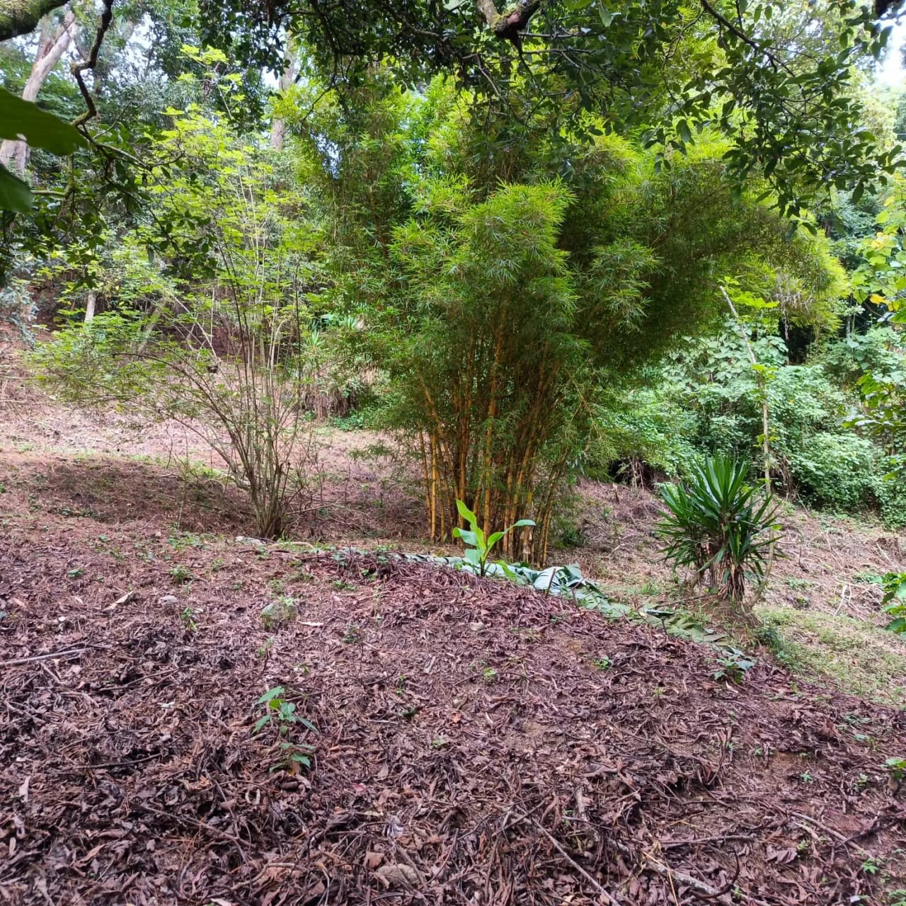 Terreno amplio con casa en CAES — Terreno en Venta en Granja Buenos Aires, Carretera a El Salvador, Guatemala, Ciudad — foto 13 de 17