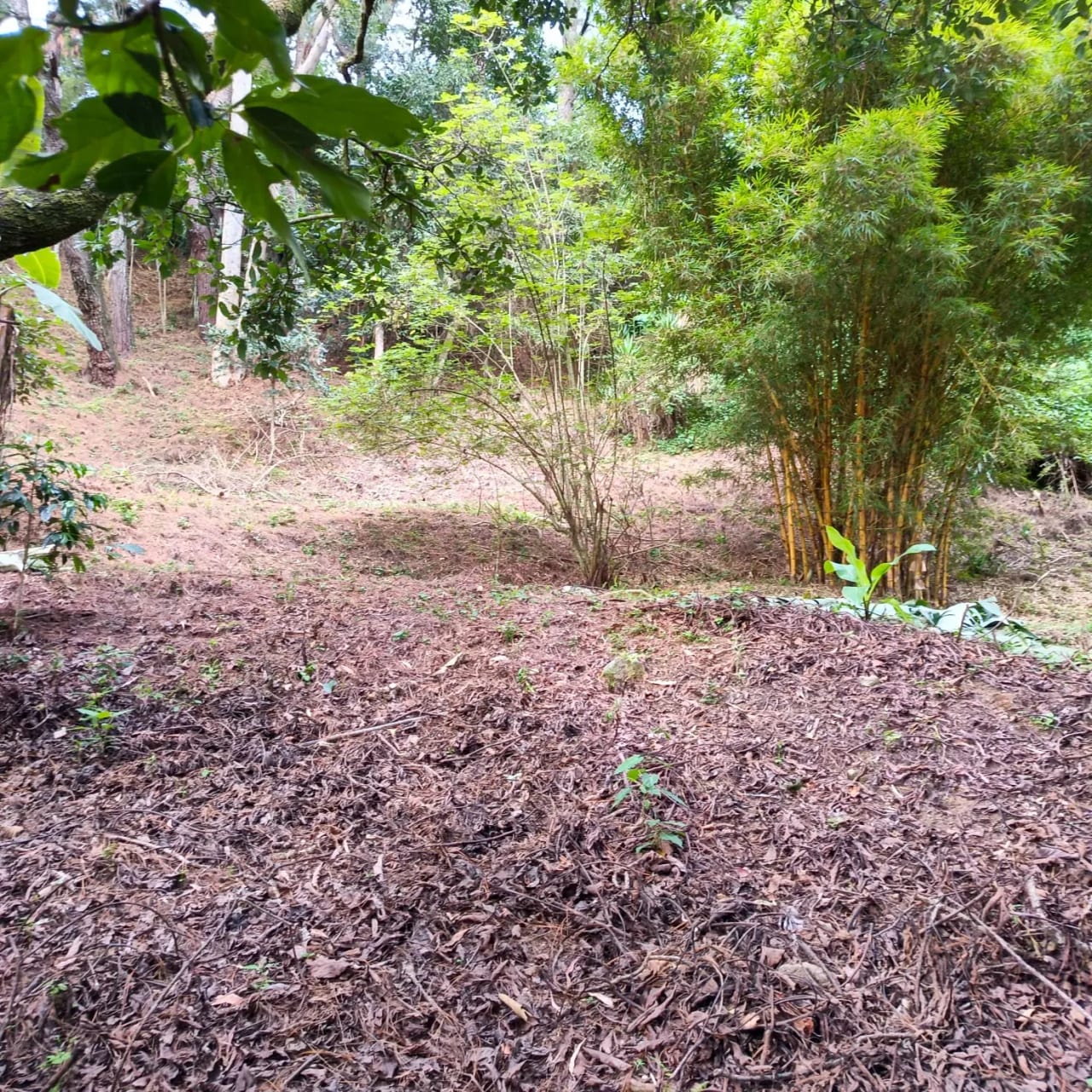 Terreno amplio con casa en CAES — Terreno en Venta en Granja Buenos Aires, Carretera a El Salvador, Guatemala, Ciudad — foto 15 de 17