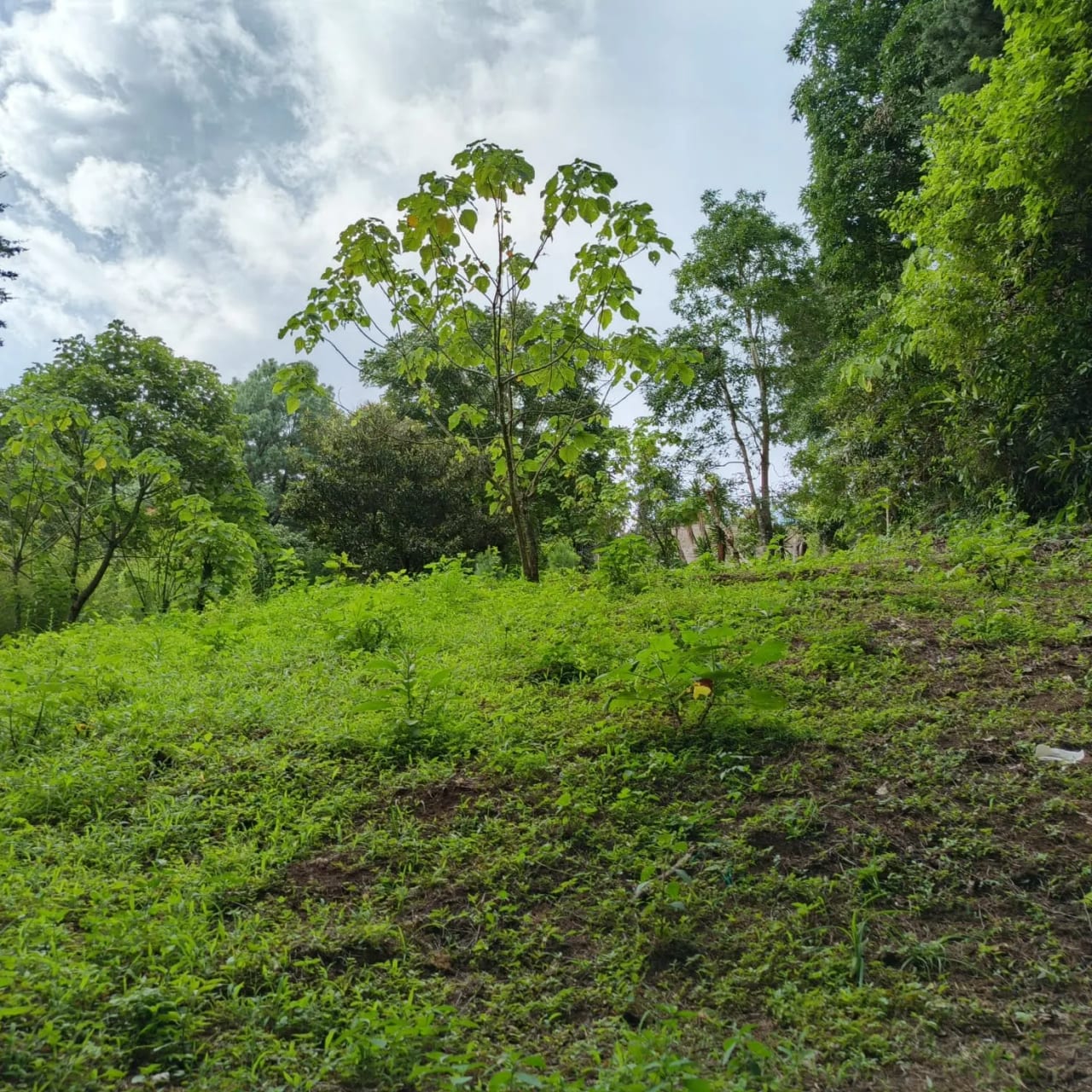 Terreno amplio con casa en CAES — Terreno en Venta en Granja Buenos Aires, Carretera a El Salvador, Guatemala, Ciudad — foto 17 de 17