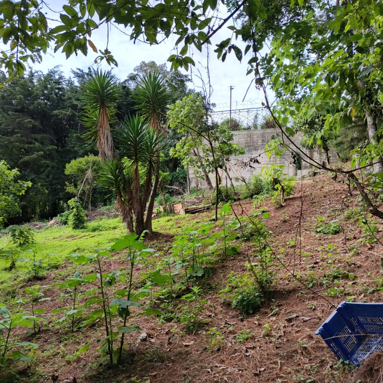 Terreno amplio con casa en CAES — Terreno en Venta en Granja Buenos Aires, Carretera a El Salvador, Guatemala, Ciudad — foto 16 de 17