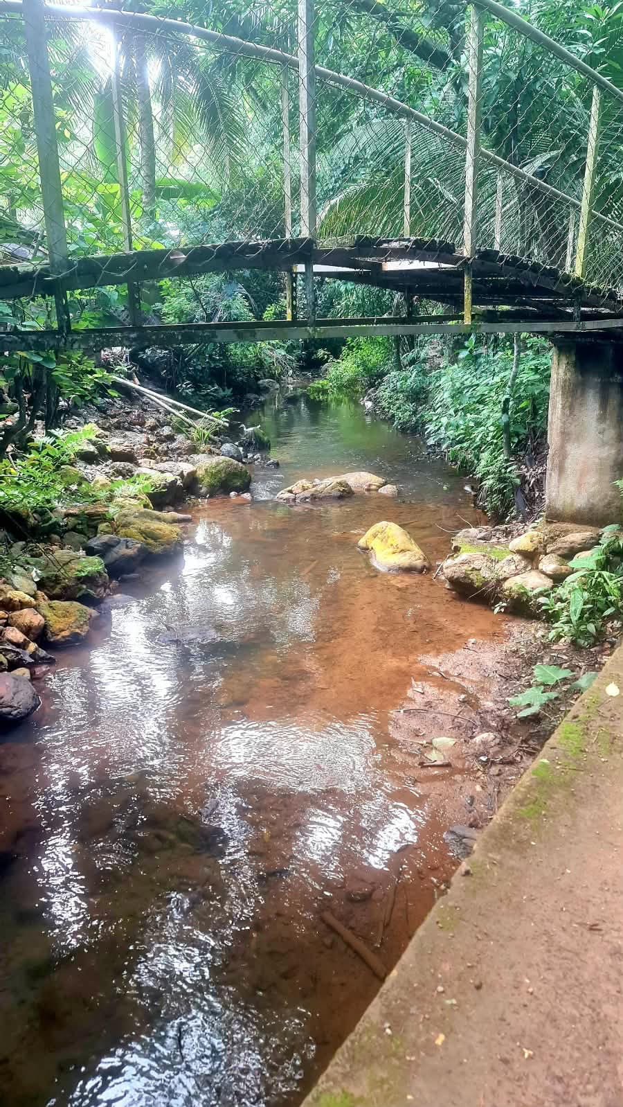 Casa en Venta en Los Amates Izabal — Casa en Venta en Los Amates, Izabal — foto 8 de 17