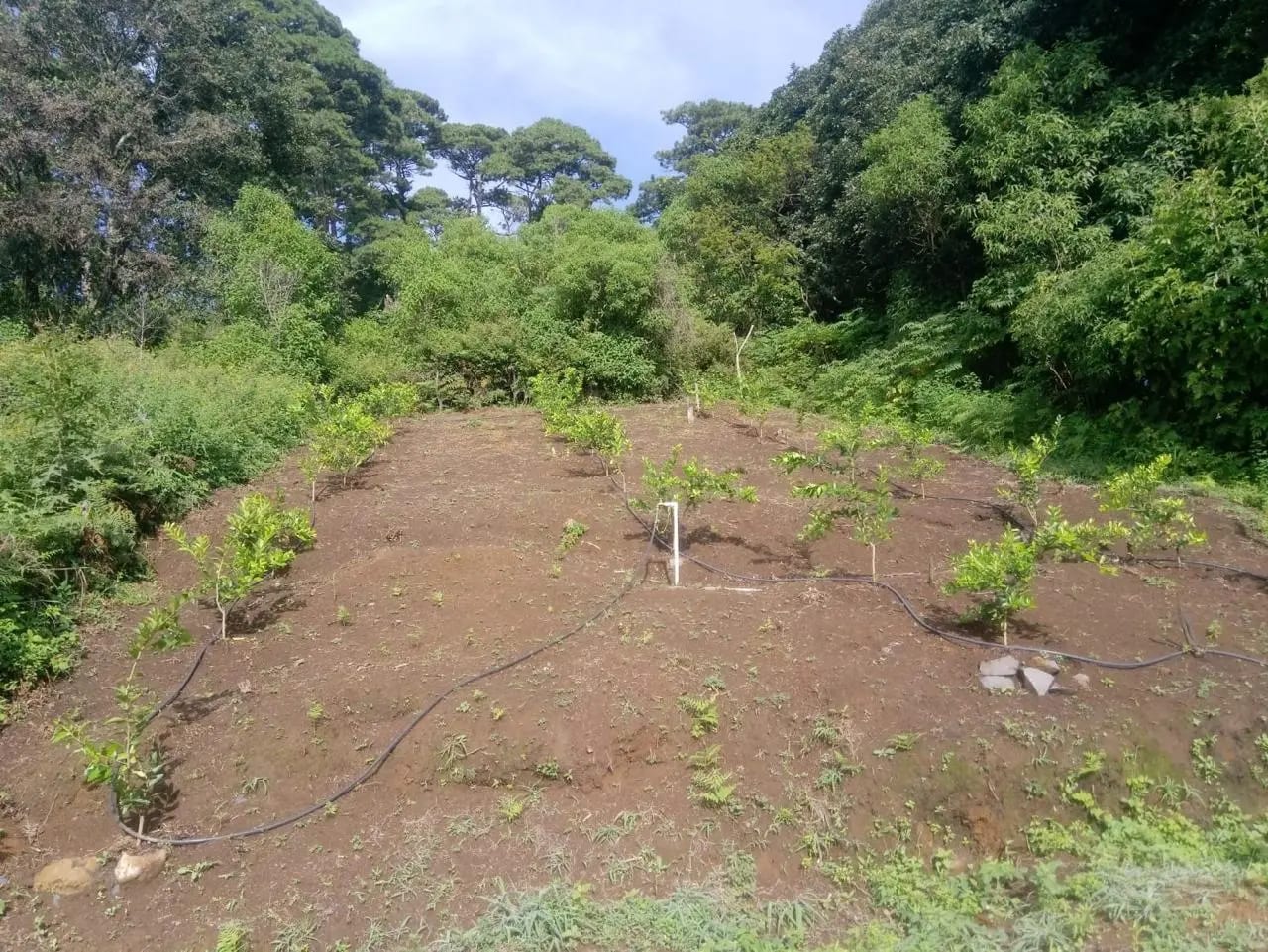 Terreno en Venta Milpas Altas — Terreno en Venta en Santa Lucía Milpas Altas, Sacatepéquez — foto 4 de 7