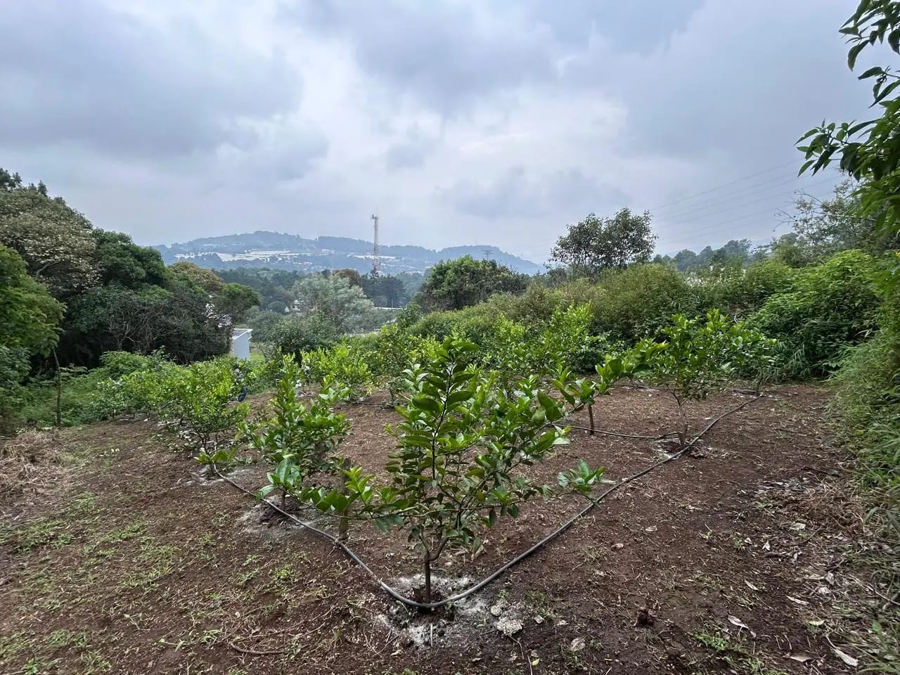 Terreno en Venta Milpas Altas — Terreno en Venta en Santa Lucía Milpas Altas, Sacatepéquez — foto 7 de 7