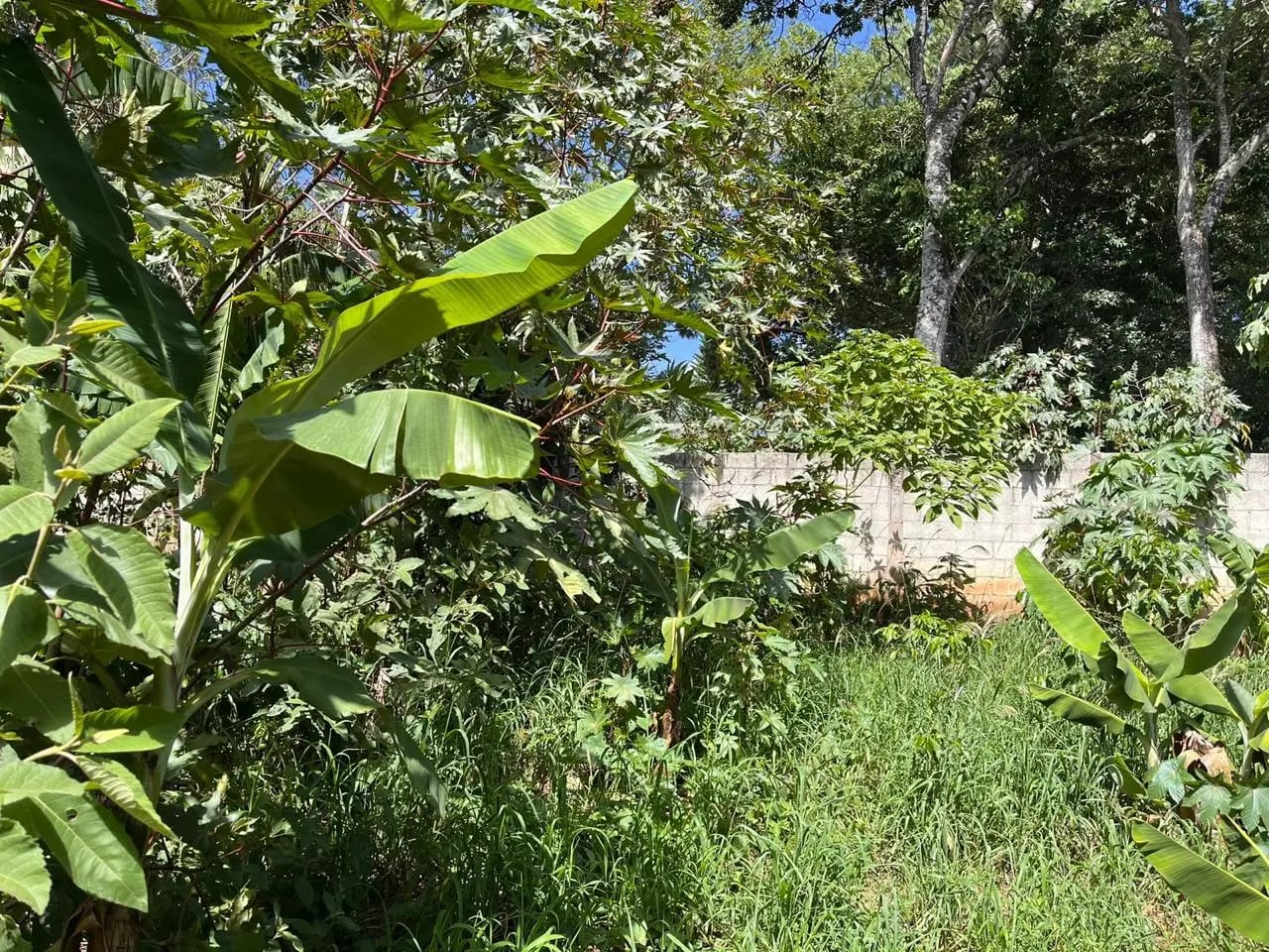 Terreno en renta Villa Canales — Terreno en Alquiler en Villa Canales, Guatemala, Ciudad — foto 2 de 11