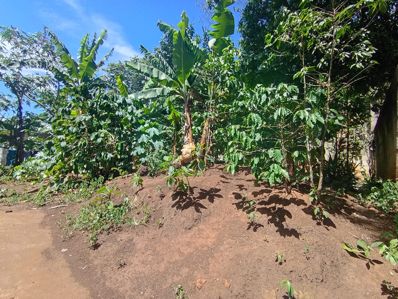 Terreno en renta Villa Canales — Terreno en Alquiler en Villa Canales, Guatemala, Ciudad — foto 3 de 11