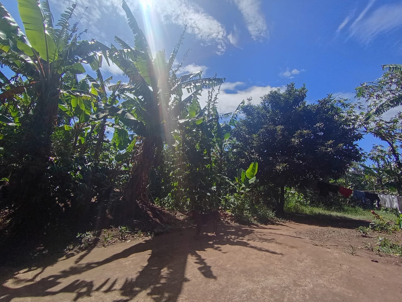 Terreno en renta Villa Canales — Terreno en Alquiler en Villa Canales, Guatemala, Ciudad — foto 4 de 11