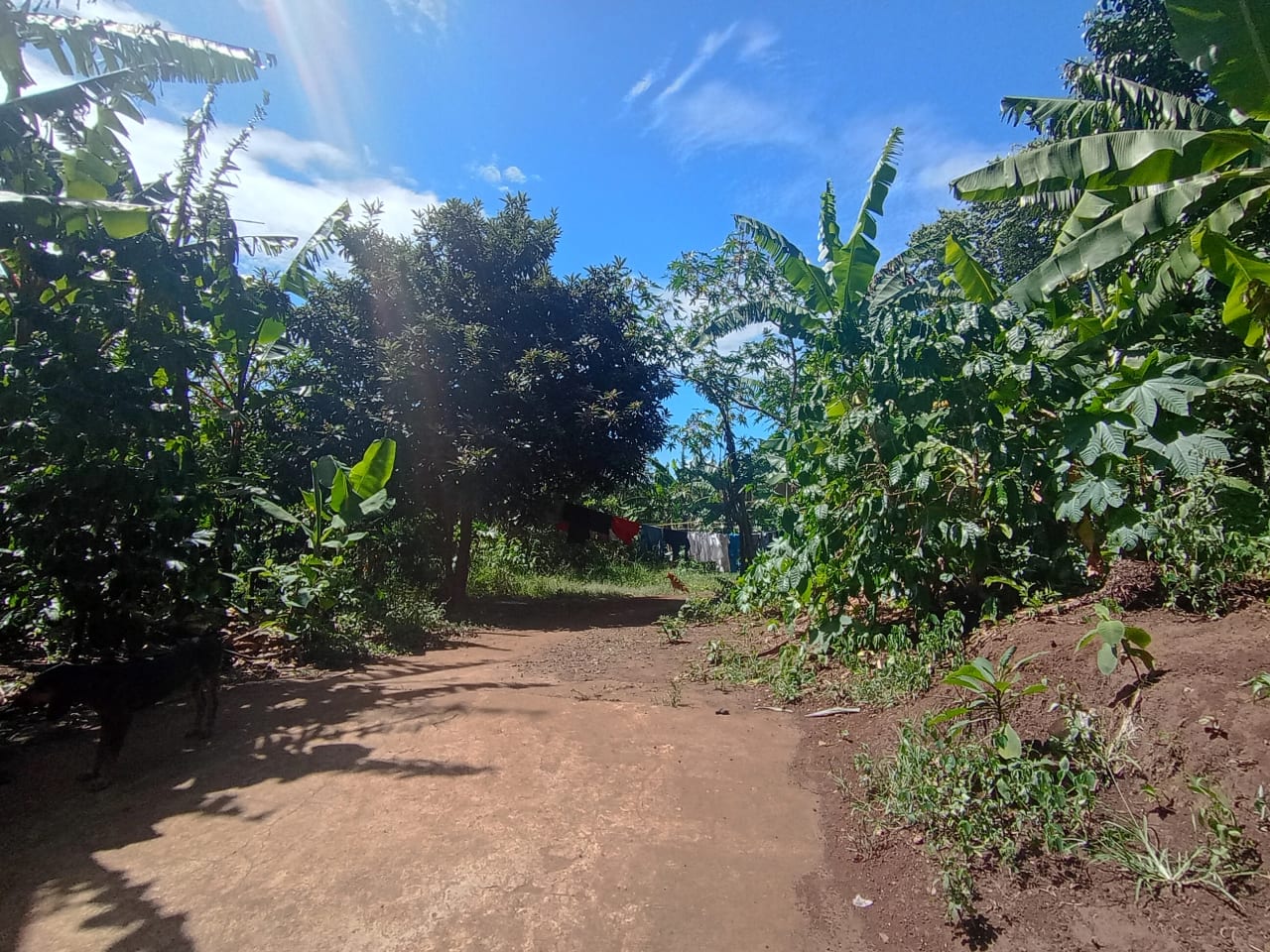 Terreno en renta Villa Canales — Terreno en Alquiler en Villa Canales, Guatemala, Ciudad — foto 5 de 11