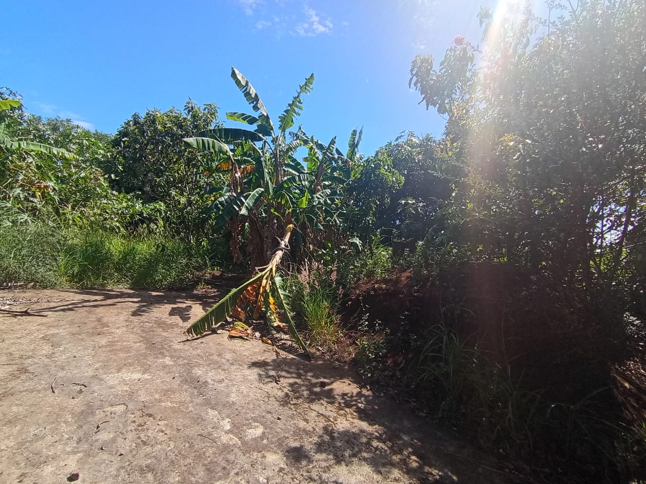 Terreno en renta Villa Canales — Terreno en Alquiler en Villa Canales, Guatemala, Ciudad — foto 8 de 11