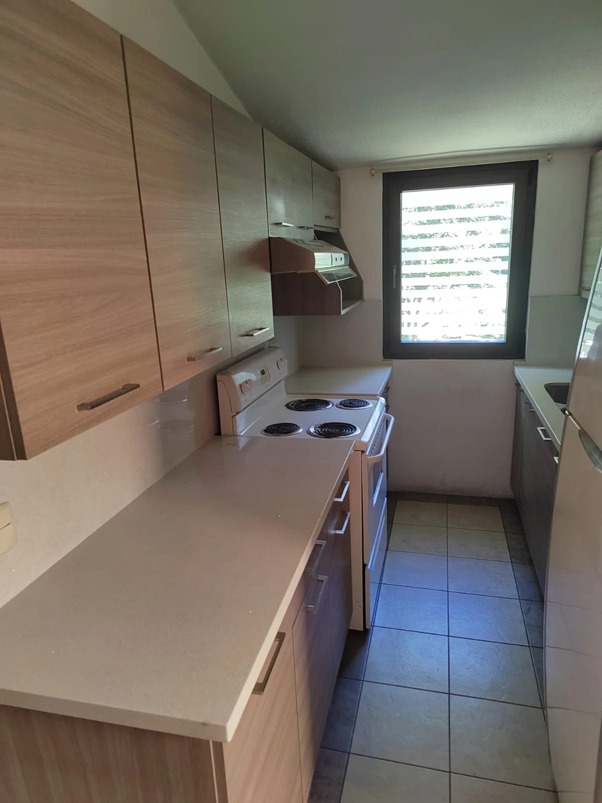 Se renta casa en zona 10 lista para ocupar — Casa en Alquiler en Zona 10, Guatemala, Ciudad — foto 7 de 17