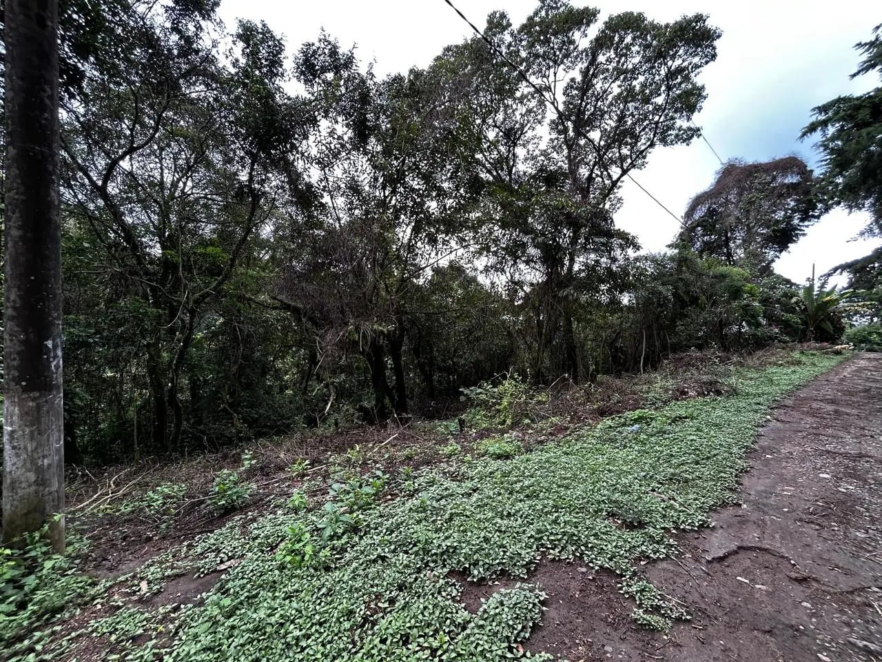 Terreno en venta Condominio Buenos Aires km 22.5 Fraijanes CAES — Terreno en Venta en km 21-25, Carretera a El Salvador, Guatemala, Ciudad — foto 2 de 4
